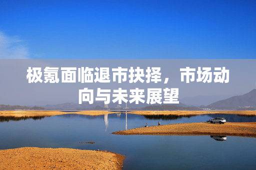 极氪面临退市抉择，市场动向与未来展望