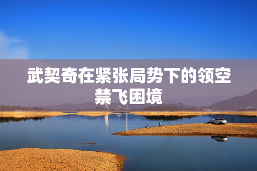 武契奇在紧张局势下的领空禁飞困境