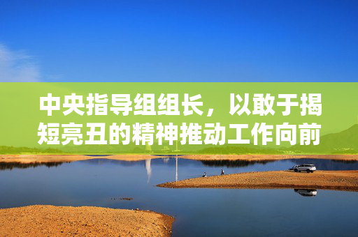 中央指导组组长，以敢于揭短亮丑的精神推动工作向前发展