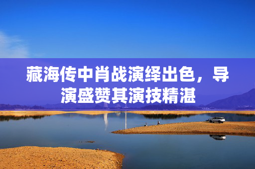 藏海传中肖战演绎出色，导演盛赞其演技精湛