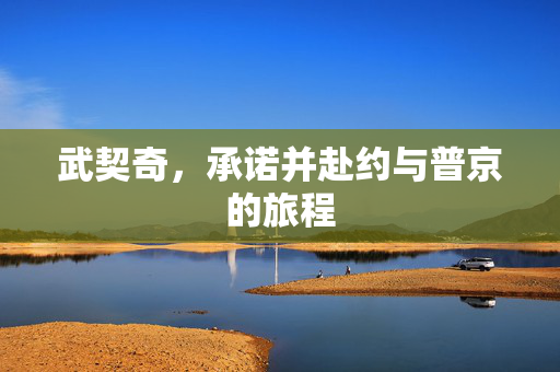 武契奇，承诺并赴约与普京的旅程