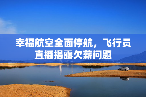 幸福航空全面停航，飞行员直播揭露欠薪问题