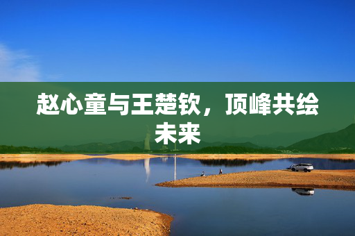 赵心童与王楚钦，顶峰共绘未来