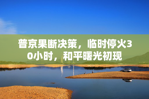 普京果断决策，临时停火30小时，和平曙光初现
