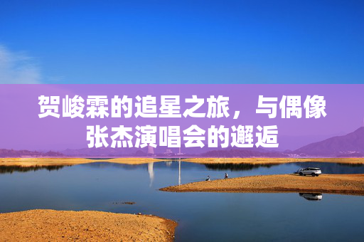 贺峻霖的追星之旅，与偶像张杰演唱会的邂逅