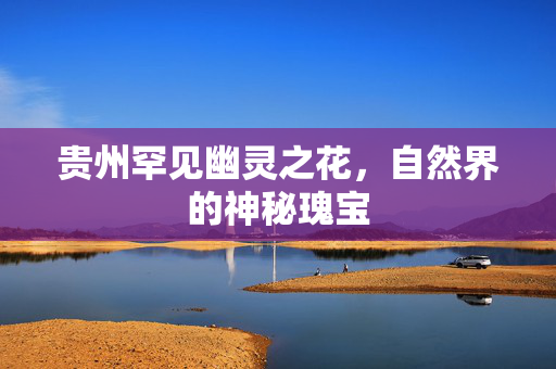 贵州罕见幽灵之花，自然界的神秘瑰宝
