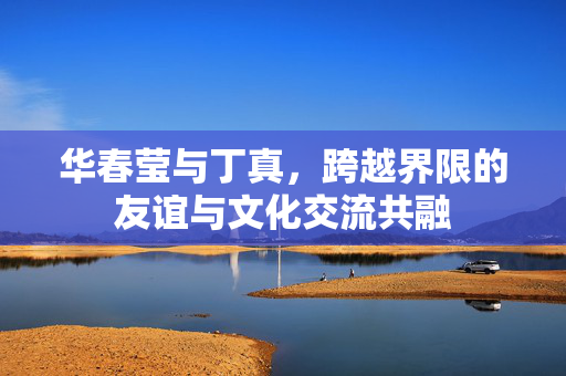 华春莹与丁真，跨越界限的友谊与文化交流共融