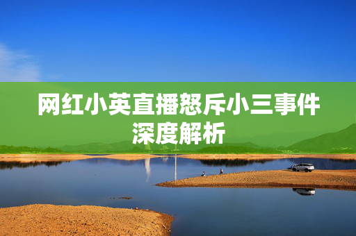 网红小英直播怒斥小三事件深度解析