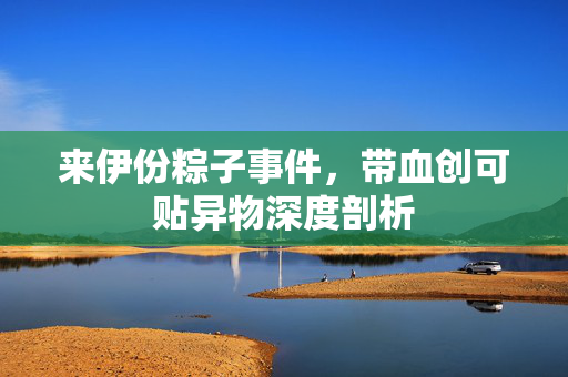 来伊份粽子事件，带血创可贴异物深度剖析