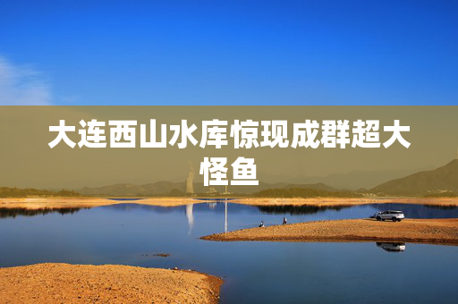 大连西山水库惊现成群超大怪鱼