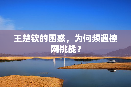 王楚钦的困惑，为何频遇擦网挑战？
