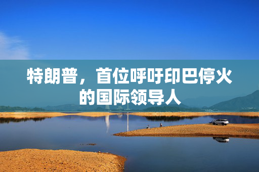 特朗普，首位呼吁印巴停火的国际领导人