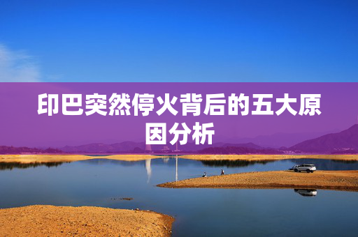 印巴突然停火背后的五大原因分析