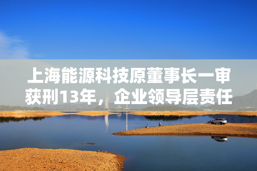 上海能源科技原董事长一审获刑13年，企业领导层责任与法律制裁的深度探讨