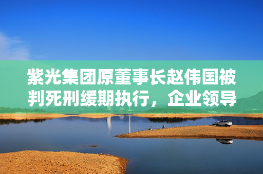 紫光集团原董事长赵伟国被判死刑缓期执行，企业领导人的法律责任与警示