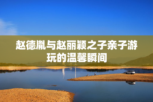 赵德胤与赵丽颖之子亲子游玩的温馨瞬间