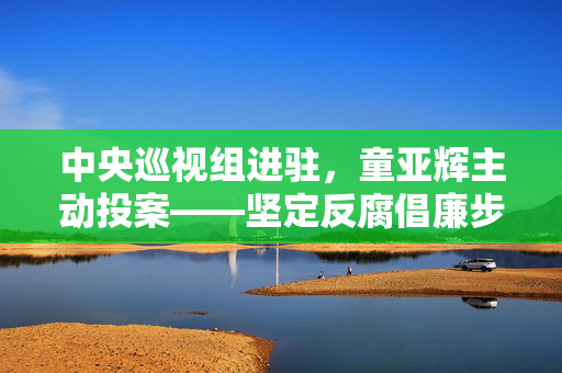 中央巡视组进驻，童亚辉主动投案——坚定反腐倡廉步伐的体现