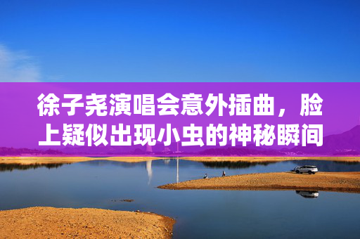 徐子尧演唱会意外插曲，脸上疑似出现小虫的神秘瞬间