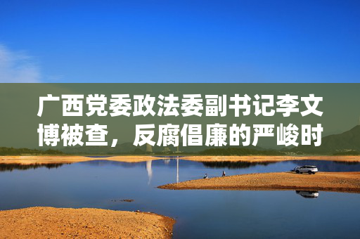 广西党委政法委副书记李文博被查，反腐倡廉的严峻时刻