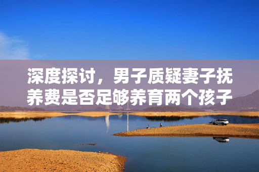 深度探讨，男子质疑妻子抚养费是否足够养育两个孩子？的疑虑与思考