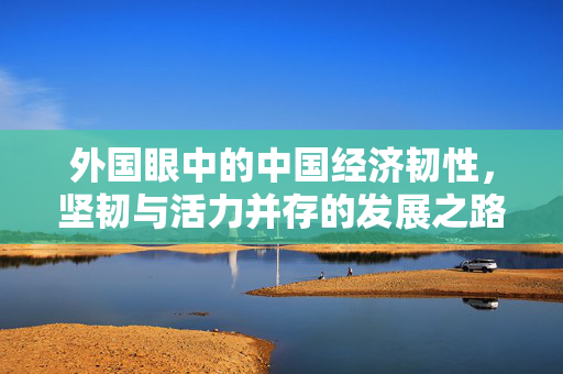 外国眼中的中国经济韧性，坚韧与活力并存的发展之路