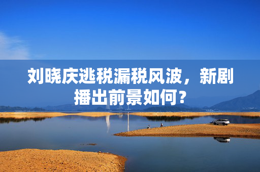 刘晓庆逃税漏税风波，新剧播出前景如何？