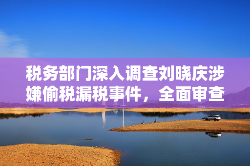 税务部门深入调查刘晓庆涉嫌偷税漏税事件，全面审查与追责的背后