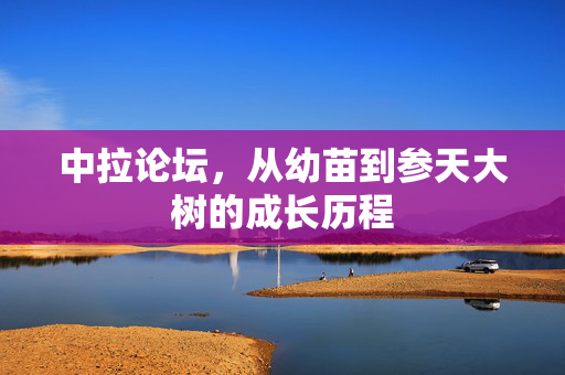 中拉论坛，从幼苗到参天大树的成长历程