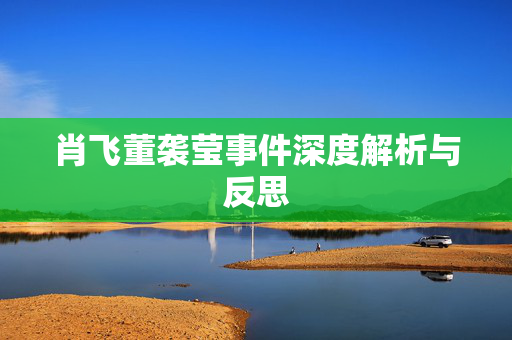 肖飞董袭莹事件深度解析与反思