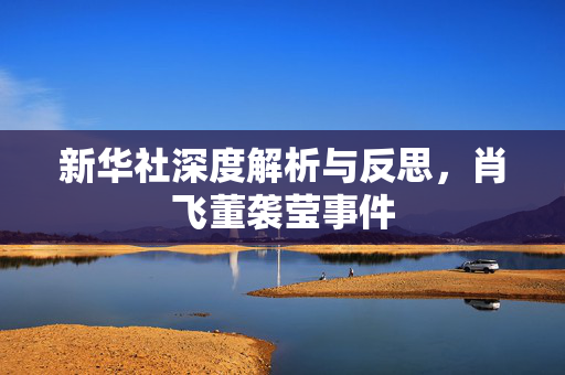 新华社深度解析与反思，肖飞董袭莹事件