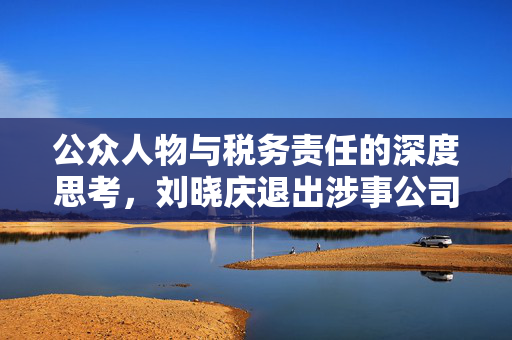 公众人物与税务责任的深度思考，刘晓庆退出涉事公司股东的启示