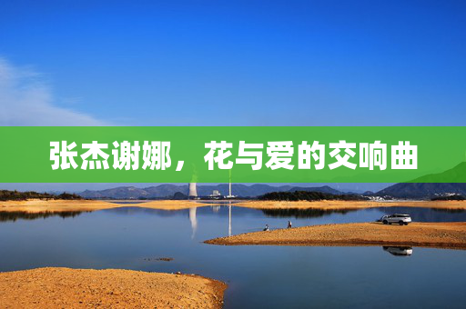 张杰谢娜，花与爱的交响曲