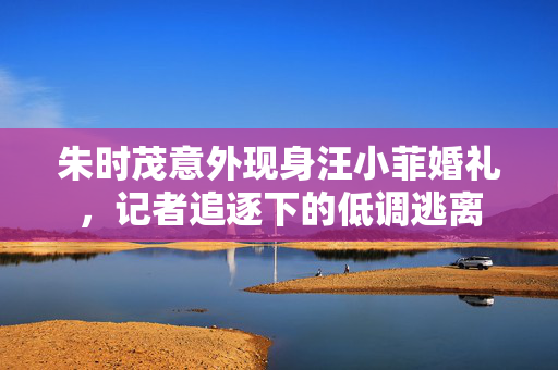 朱时茂意外现身汪小菲婚礼，记者追逐下的低调逃离