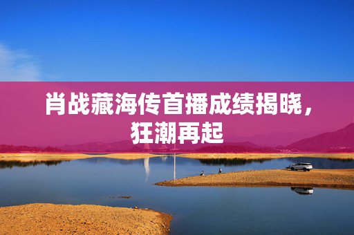 肖战藏海传首播成绩揭晓，狂潮再起