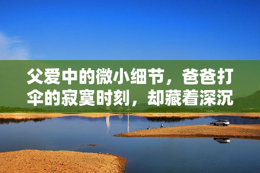 父爱中的微小细节，爸爸打伞的寂寞时刻，却藏着深沉的父爱