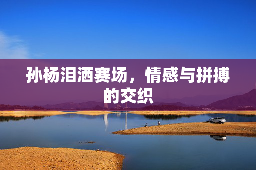 孙杨泪洒赛场，情感与拼搏的交织