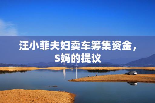 汪小菲夫妇卖车筹集资金，S妈的提议
