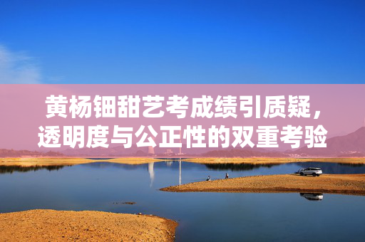 黄杨钿甜艺考成绩引质疑，透明度与公正性的双重考验