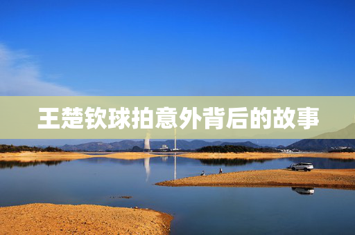 王楚钦球拍意外背后的故事