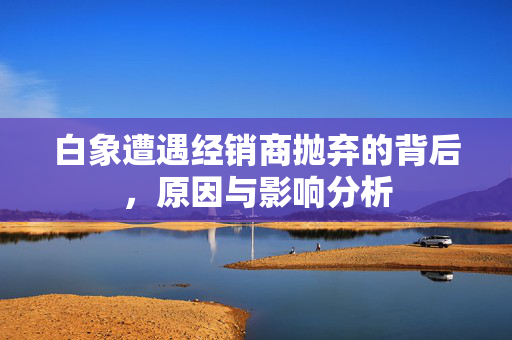 白象遭遇经销商抛弃的背后，原因与影响分析