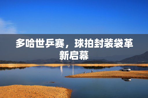 多哈世乒赛，球拍封装袋革新启幕