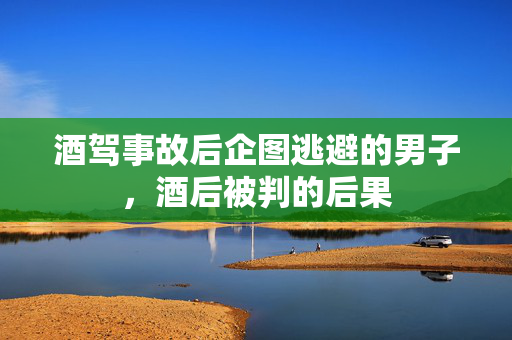 酒驾事故后企图逃避的男子，酒后被判的后果