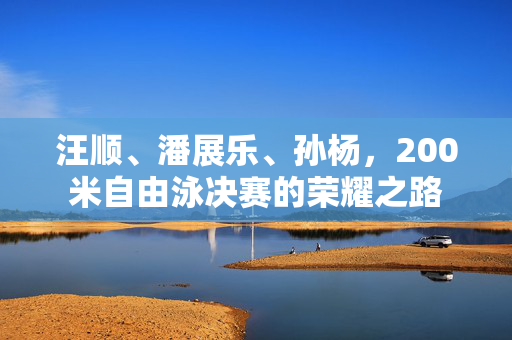 汪顺、潘展乐、孙杨，200米自由泳决赛的荣耀之路