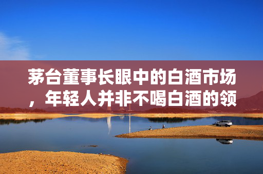 茅台董事长眼中的白酒市场，年轻人并非不喝白酒的领域