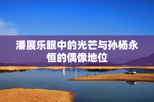 潘展乐眼中的光芒与孙杨永恒的偶像地位