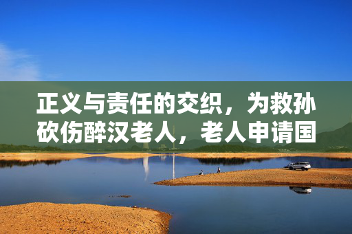 正义与责任的交织，为救孙砍伤醉汉老人，老人申请国赔128万事件剖析