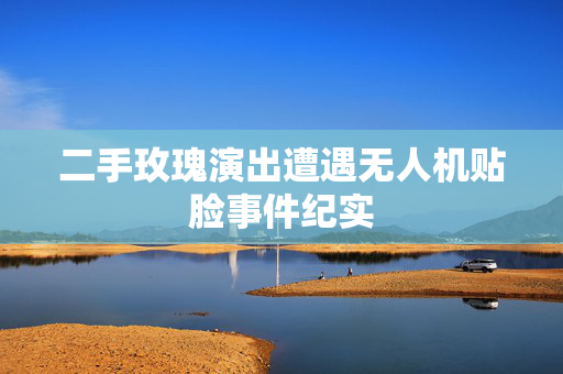二手玫瑰演出遭遇无人机贴脸事件纪实