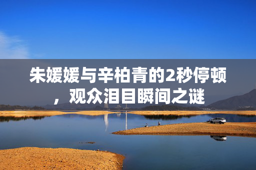 朱媛媛与辛柏青的2秒停顿，观众泪目瞬间之谜