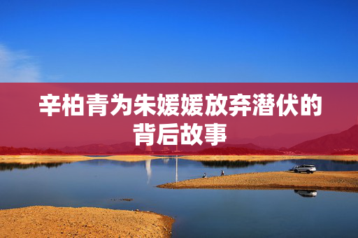 辛柏青为朱媛媛放弃潜伏的背后故事