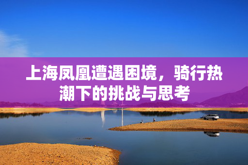 上海凤凰遭遇困境，骑行热潮下的挑战与思考